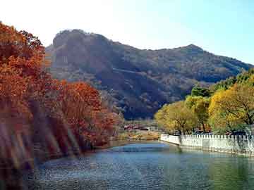 新澳天天开好彩资料大全，水杉基地